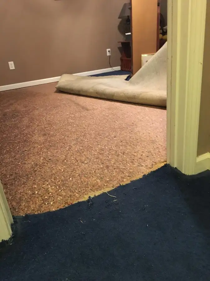 Carpet pad removal revealing water damage during Drying & Dehumidification in South Beloit